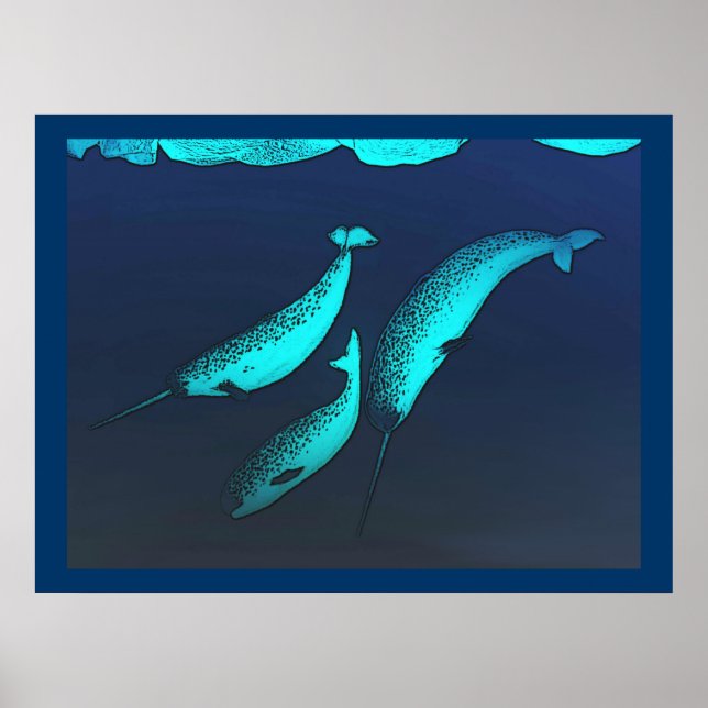 Poster Narwhal (Frente)