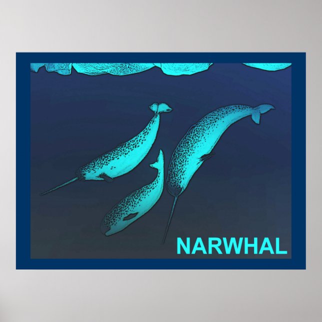 Póster Narwhal (Frente)