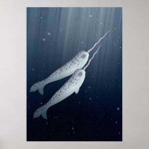 Poster Narwhals bonito que nada junto debaixo d'água
