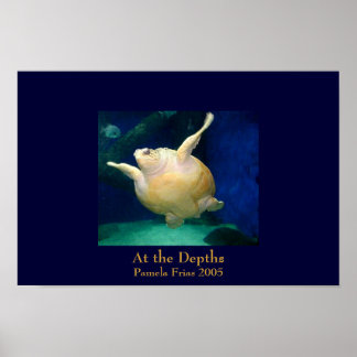 Póster Nas Profundidades