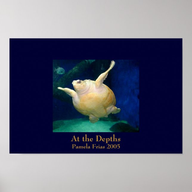 Póster Nas Profundidades (Frente)