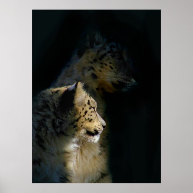 Poster Nas Sombras (Frente)