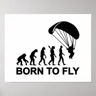 Póster Nascer de Skydiving da evolução a voar