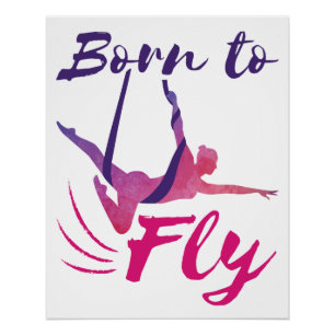 Póster Nascer de Yoga aérea para voar