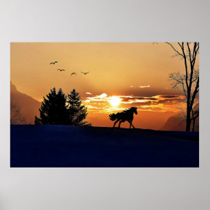 Póster Nascer do sol