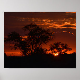 Póster Nascer do sol