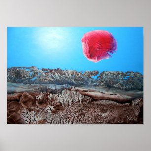 POSTER NASCER DO SOL 2 DE BOGOMIL