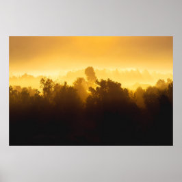 Poster Nascer do sol atrás de árvores enevoadas