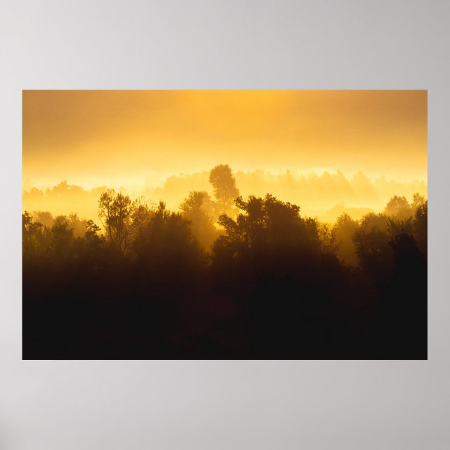 Poster Nascer do sol atrás de árvores enevoadas (Frente)