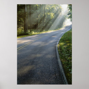 Póster Nascer do sol através do nevoeiro ao lado do Rio 