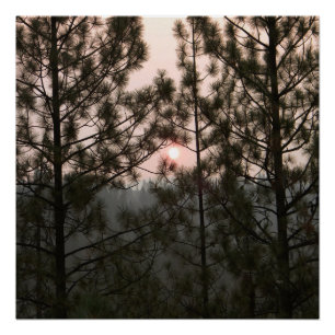 Póster Nascer do sol esfumaçado do incêndio de Carr 2018.