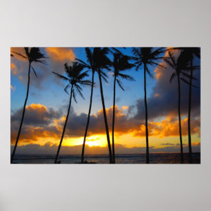 Póster Nascer do sol havaiano