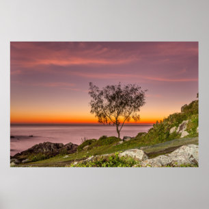 Póster Nascer do sol na praia Armação