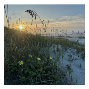 Póster Nascer do sol na praia sobre dunas