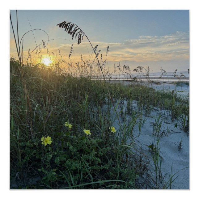 Póster Nascer do sol na praia sobre dunas (Frente)