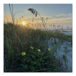Póster Nascer do sol na praia sobre dunas
