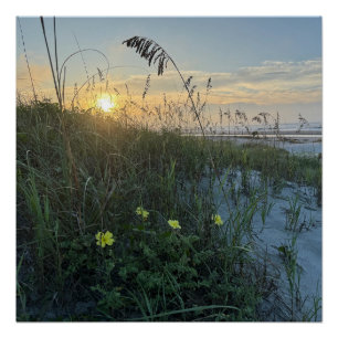 Póster Nascer do sol na praia sobre dunas