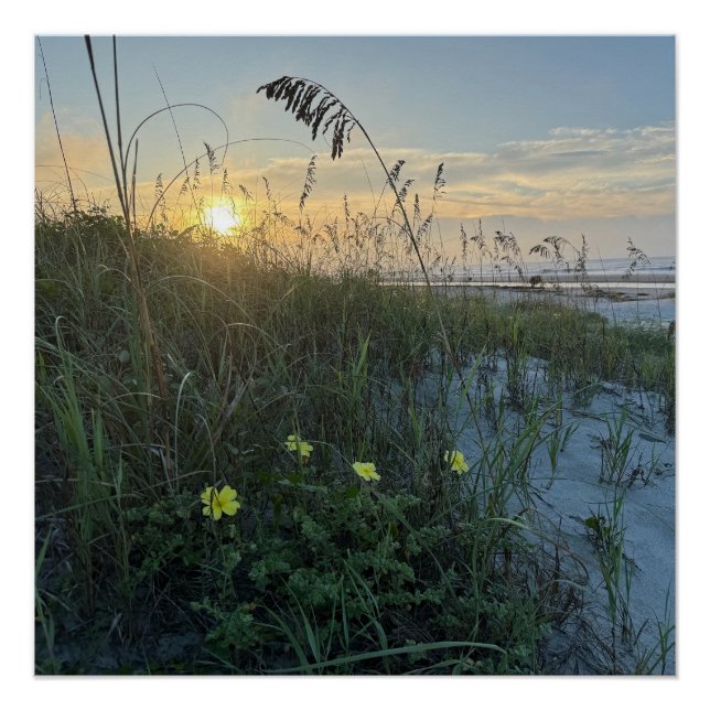 Póster Nascer do sol na praia sobre dunas (Frente)