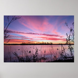 Póster Nascer do sol no Arkansas Duck Blind