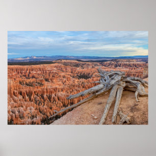 Poster Nascer do sol no Canyon do Parque Nacional Bryce