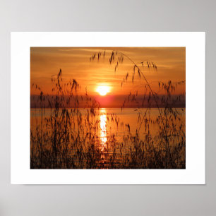 Poster Nascer do sol sobre a Baía