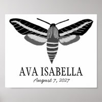 NASCIMENTO DE NOME DE BEBÊ PERSONALIZADO DO INSETO