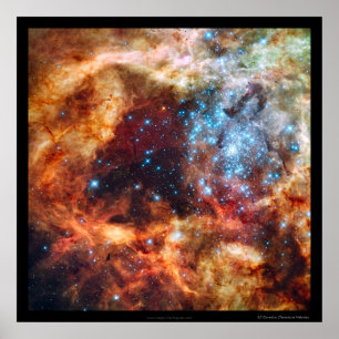 Poster Nascimento de Stars Tarantula Nebula, Fronteira Ne