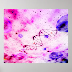Poster Nascimento de uma molécula de DNA