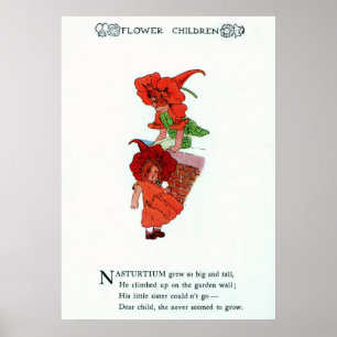 Póster Nasturtium