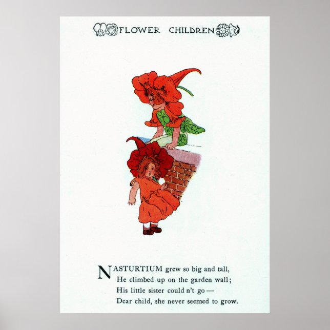 Póster Nasturtium (Frente)