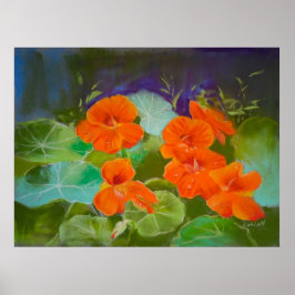 Poster Nasturtium Bloom - Botanical Pastel
