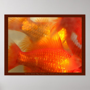 Póster Natação com o Fishies