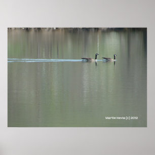 Póster Natação do Amor