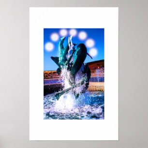 Póster Natações com fonte de golfinhos