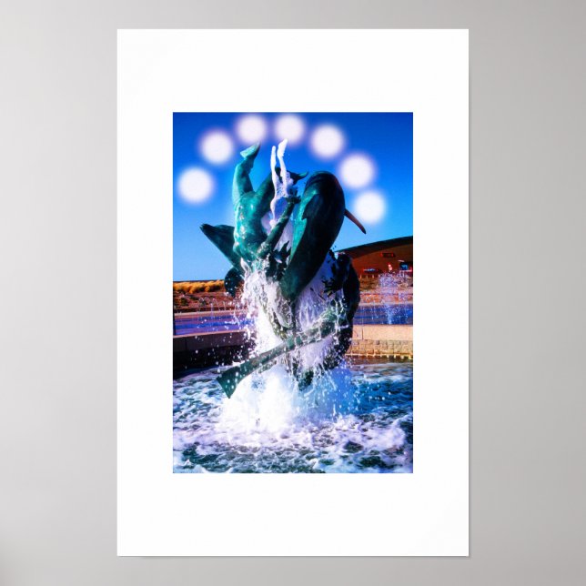 Póster Natações com fonte de golfinhos (Frente)
