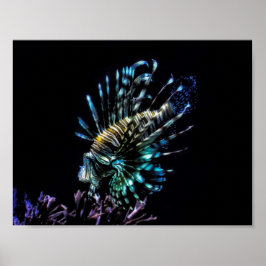 Poster Natações de Lionfish