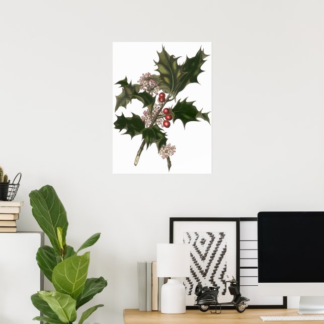 Poster Natal Antigo, Planta de Azevinho com Bagas Vermelh (Escritório em casa)