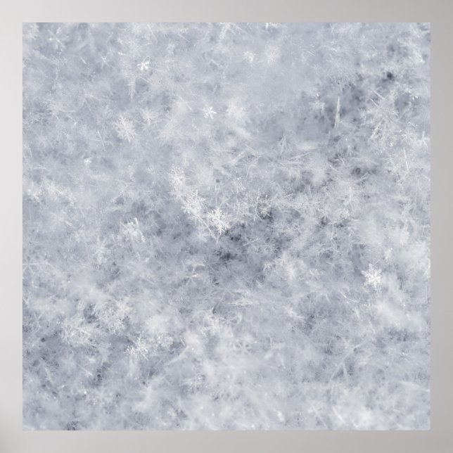 Poster Natal Branco da Neve (Frente)