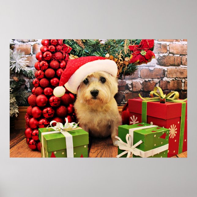 Poster Natal - Cairn Terrier - Roxi (Frente)