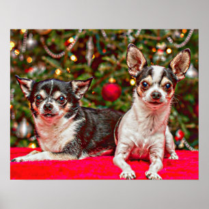 Poster Natal Chihuahua