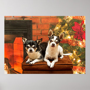Poster Natal Chihuahua