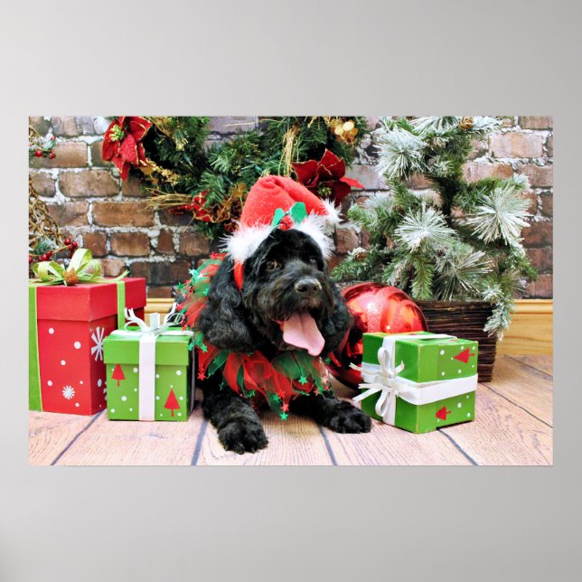 Póster Natal - Cockapoo - Jack (Frente)