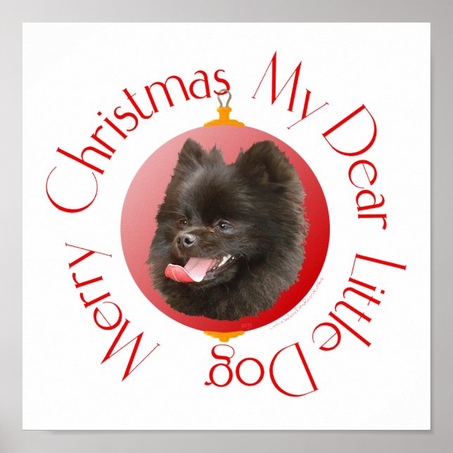 Póster Natal da Pomerânia (Frente)