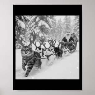 Poster Natal engraçado Papai Noel Trenó Gatos Rena selfie