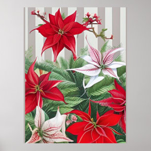 Poster Natal Red Amaryllis e Poinsettias
