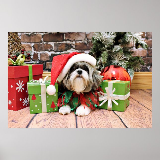 Póster Natal - Shih Tzu - Vince (Frente)