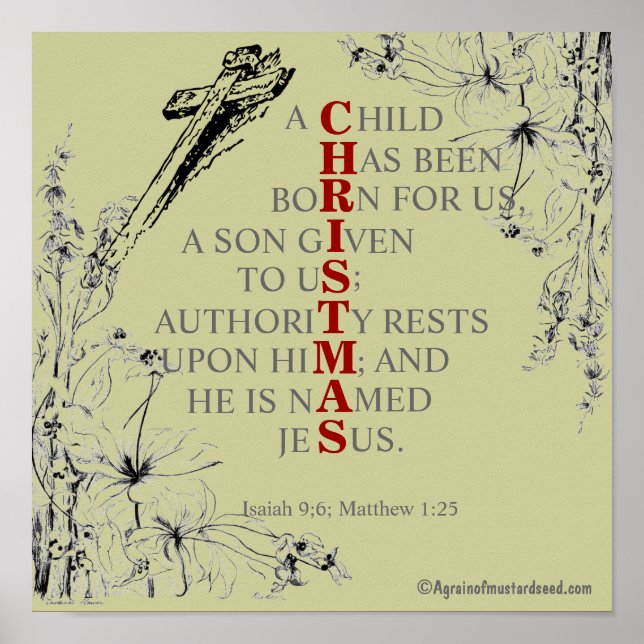 Póster NATAL significa (Frente)