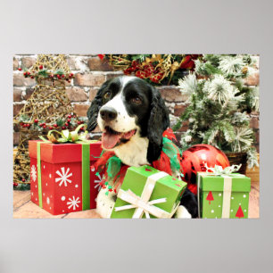 Póster Natal - Spaniel de Springer inglês - Betsy