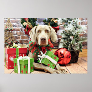 Póster Natal - Weimaraner - Lucy