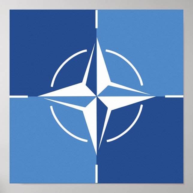 Poster NATO ONAT flag symbol North Atlantic Treaty Organi (Frente)